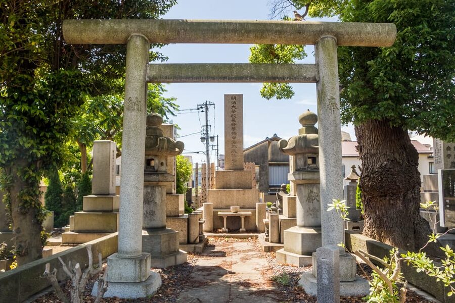 Old and Nostalgic Tokyo: Half-Day Yanaka Walking Tour - Walking through Yanaka Cemetery