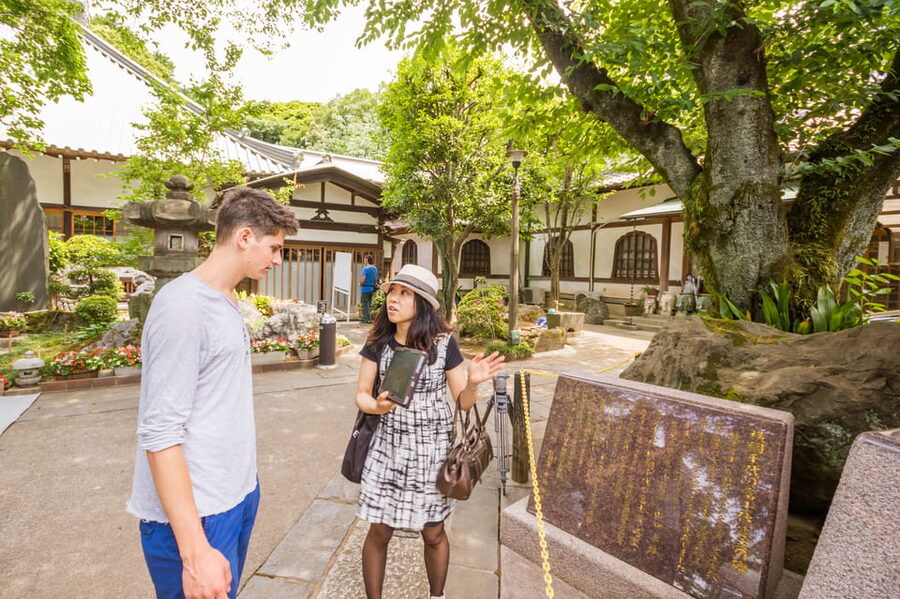 Old and Nostalgic Tokyo: Half-Day Yanaka Walking Tour - Yanaka-Ginza and the pleasure of small shops