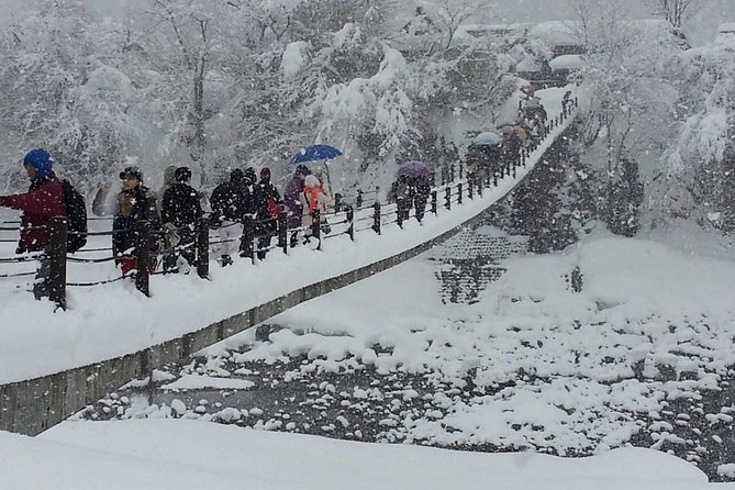 [One-day bus tour departing from Kanazawa Station] Shirakawa-go and Gokayama - Two World Heritage Villages Enjoyable Bus Tour - A traditional Hida lunch between the villages