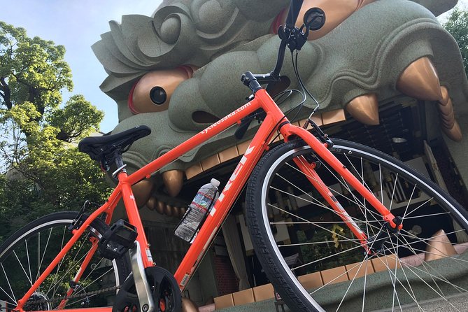 One-Day Osaka Bike Adventure: 5–6 Hours - Namba Yasaka Shrine and the final photo stop