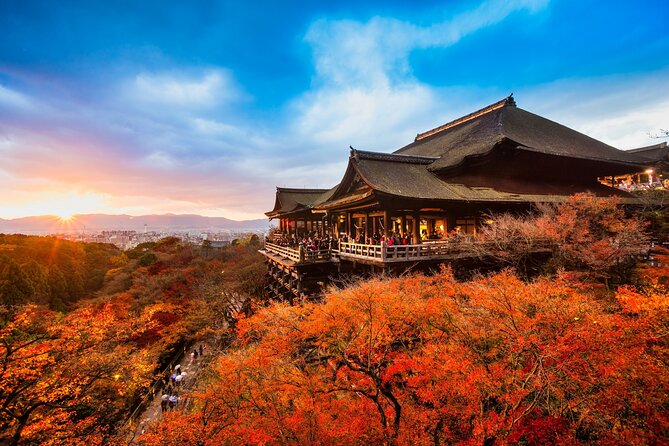 One-Day Tour of Kyoto's Highlights from Osaka/Kyoto - Arashiyama, bamboo paths, and the Togetsukyo Bridge