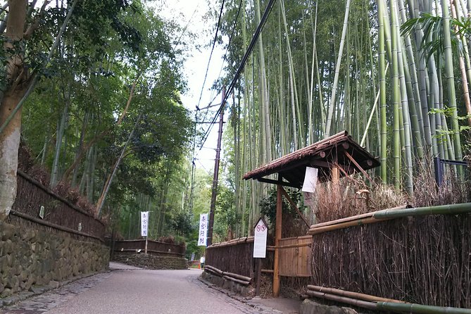 One-Day Walking Tour : Enjoy Kyoto to the fullest! - Fushimi Inari and its orange torii tunnel