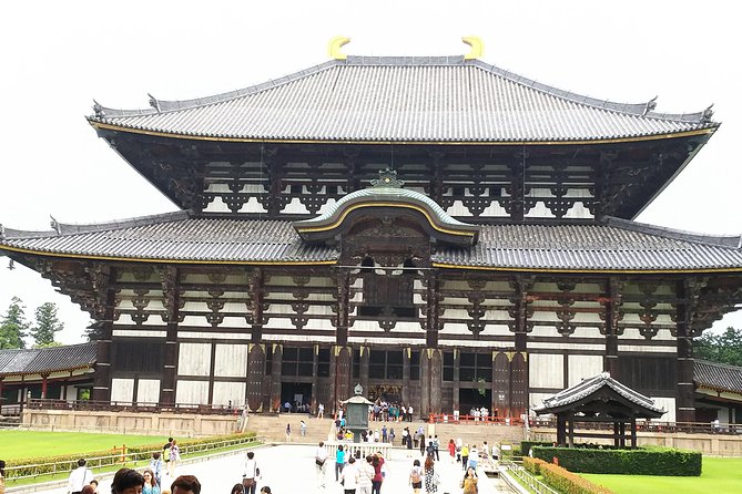 One-Day Walking Tour of Amazing 8th Century Capital Nara - Why Nara makes such a good day from Kyoto