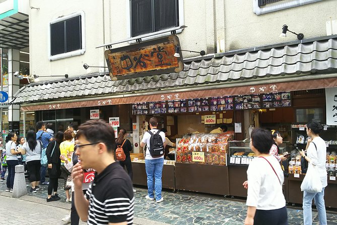 One-Day Walking Tour of Amazing 8th Century Capital Nara - Who will get the most from this private day