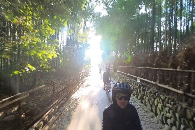 ONLY YOU in the Bamboo Forest! 4 hours E-bike tour with a local - Hirosawa Pond and its changing mood