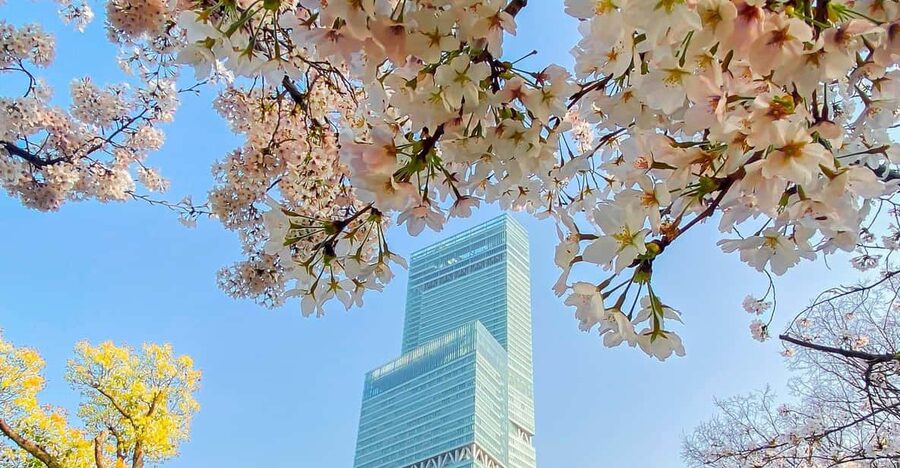 Osaka: Abeno Harukas 300 Observatory E-Ticket - Who should book this Osaka ticket?
