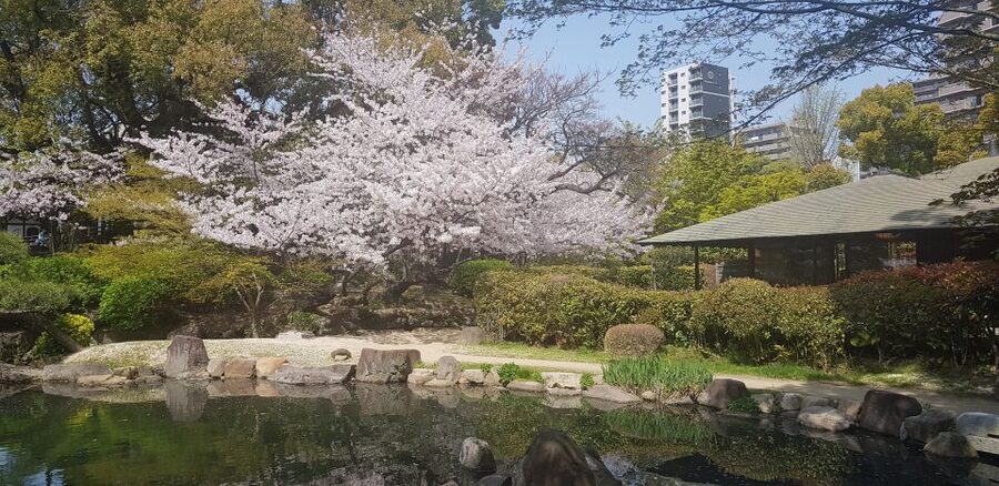 Osaka: Full-Day Sightseeing Tour by Private Vehicle - Abeno Harukas: city views and a polished food hall