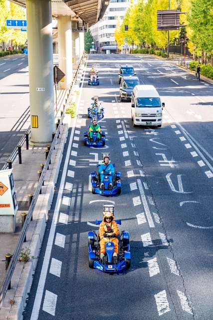 Osaka: Go Kart Tour on Osaka Streets with Guide - The documents you must bring