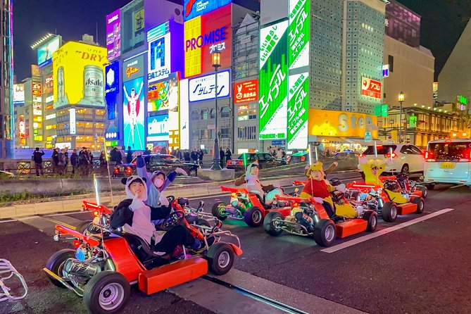 Osaka Go Karting Tour with Funny Costume - Who should book this experience?