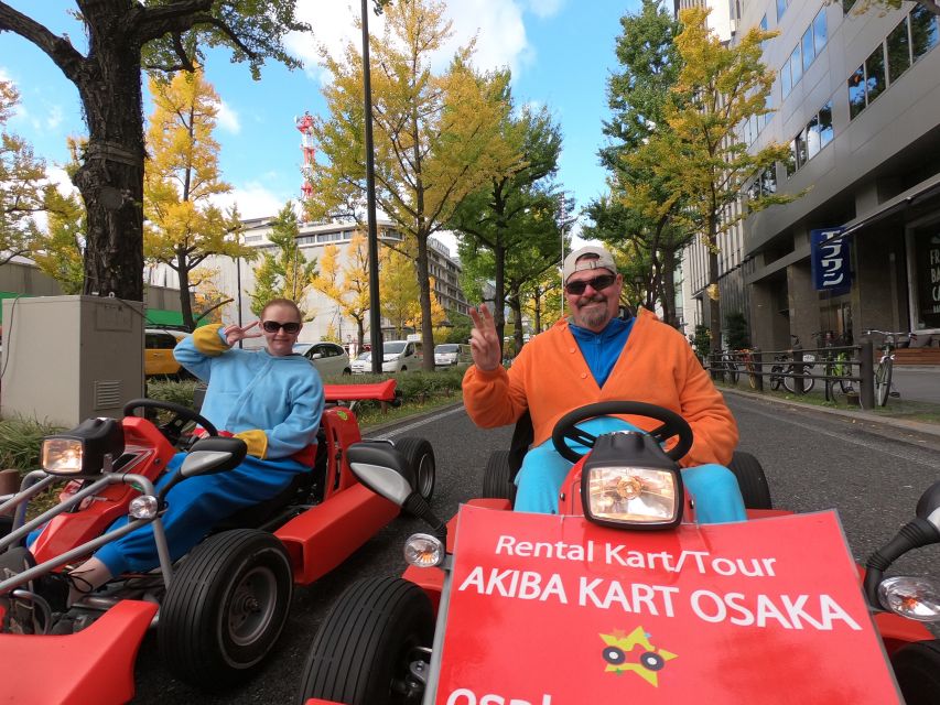 Osaka: Guided Go Karting Tour in a Funny Costume - The costume is fun, but not the whole point