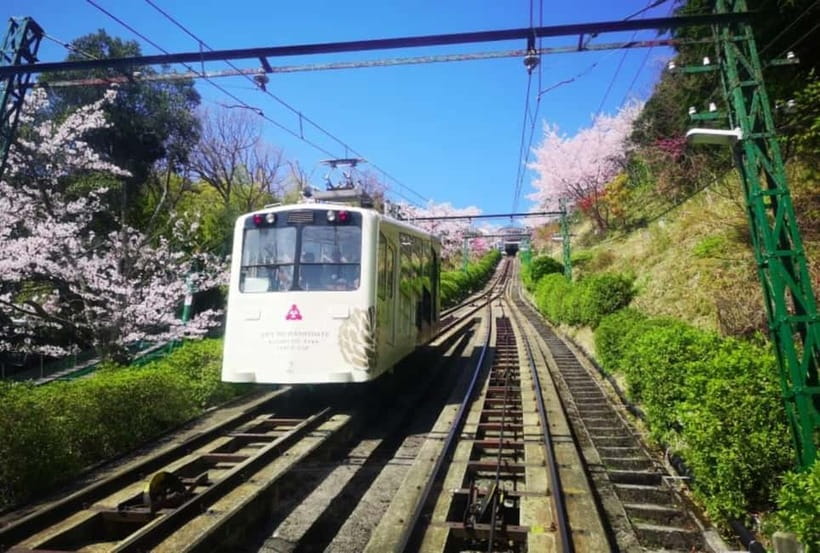 Osaka/Kyoto: Amanohashidate & Miyama Tour with Boat & Lunch - Who Will Get the Most from This Tour