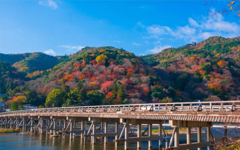 Osaka: Kyoto and Nara Private Day Trip - Arashiyama’s bamboo paths and Togetsu-kyō Bridge