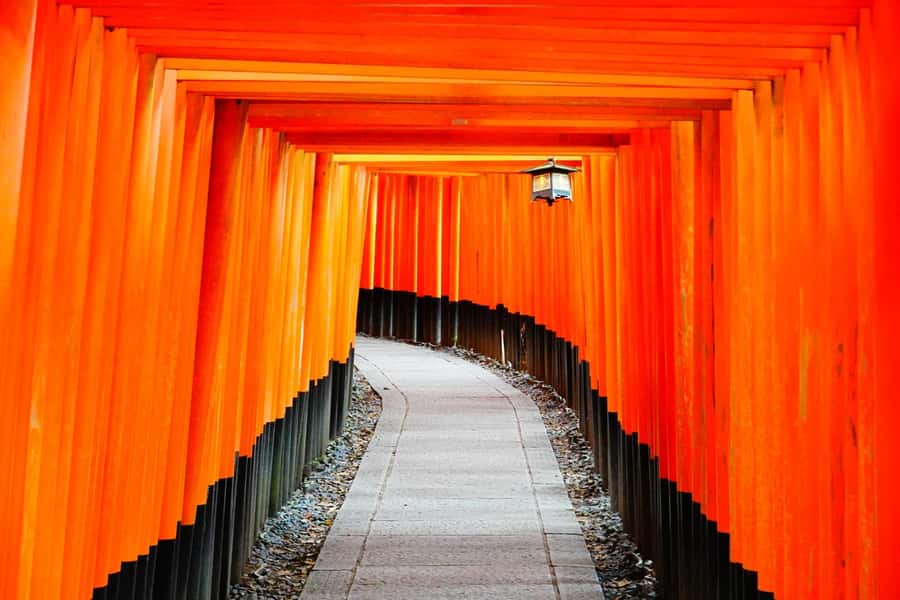 Osaka/Kyoto: Arashiyama, Nara & Fushimi Inari Shrine w/Lunch - Lunch at Kyoto Wasabi in an old townhouse