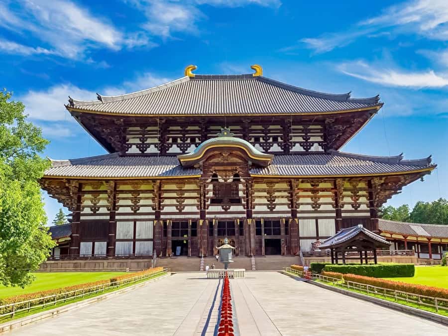 Osaka/Kyoto: Arashiyama, Nara & Fushimi Inari Shrine w/Lunch - What the guide actually does
