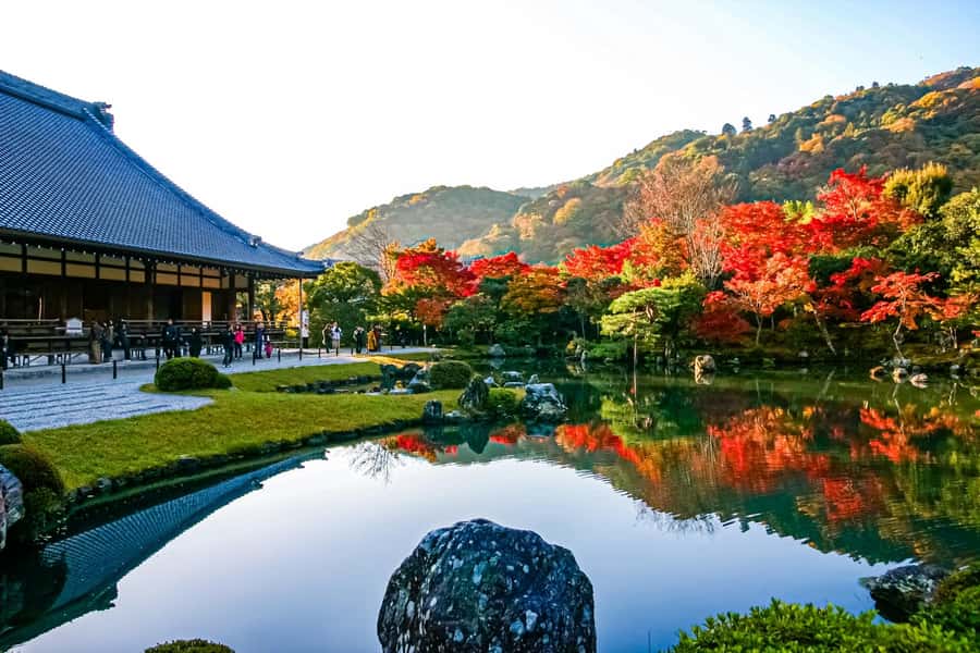 Osaka/Kyoto: Arashiyama, Nara & Fushimi Inari Shrine w/Lunch - Is $61 good value?