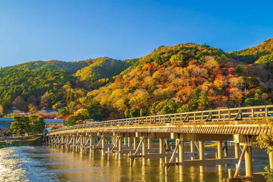 Osaka/Kyoto: Arashiyama, Nara & Fushimi Inari Shrine w/Lunch - Who should take this tour?