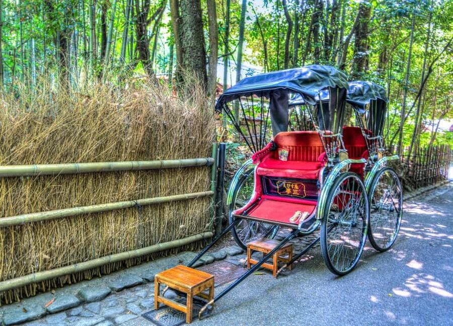 Osaka/Kyoto: Arashiyama, Nara Park, Fushimi Shrine Tour - Fushimi Inari: walking beneath thousands of red gates