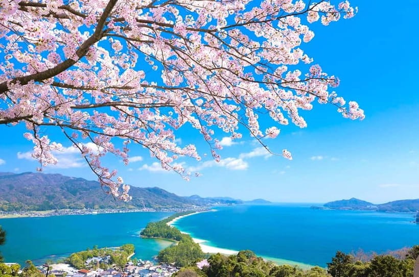 Osaka: Kyoto By The Sea with Amanohashidate & Ine no Funaya - Kaisen Bridge and the Pine-Lined Beach