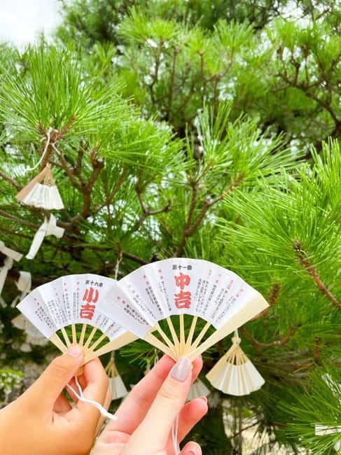 Osaka: Kyoto By The Sea with Amanohashidate & Ine no Funaya - Guides, Photos, and the Human Touch