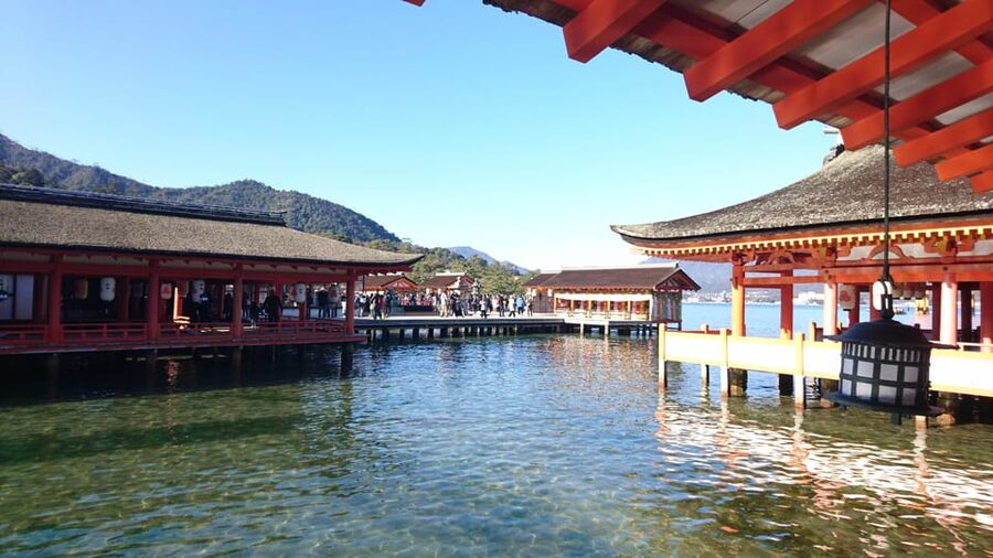 Osaka/Kyoto: Hiroshima Miyajima Bus Tour & Shinkansen Ticket - One hour to explore Miyajima on your own