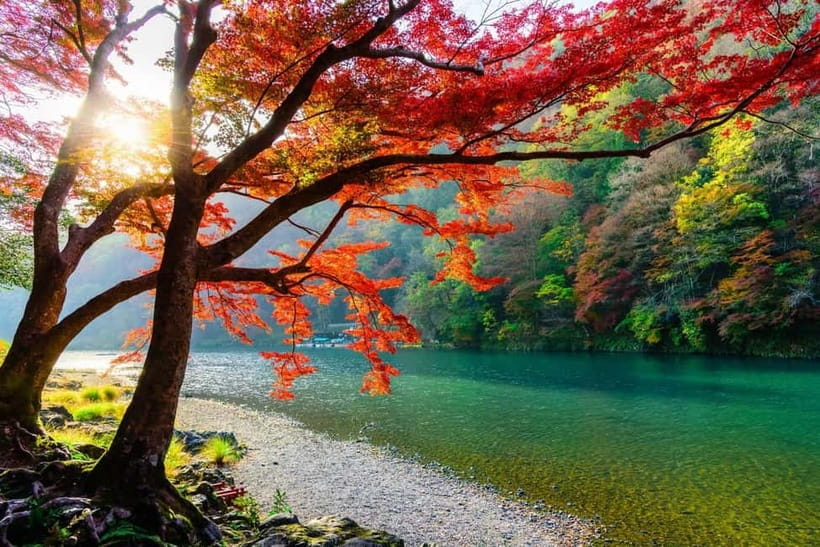 Osaka/Kyoto: Katsuoji, Kinkakuji, Arashiyama 1-Day Bus Tour - Starting points, transfers, and timing