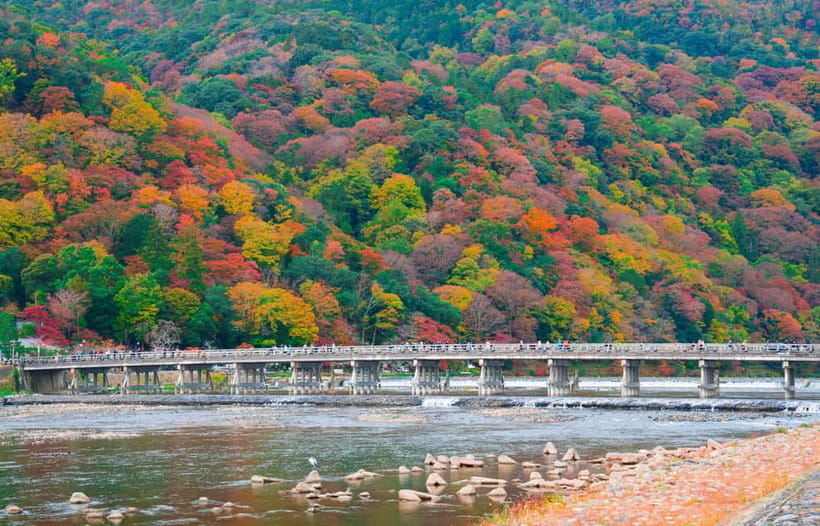 Osaka/Kyoto: Katsuoji, Kinkakuji, Arashiyama 1-Day Bus Tour - Nonomiya Shrine offers a personal moment