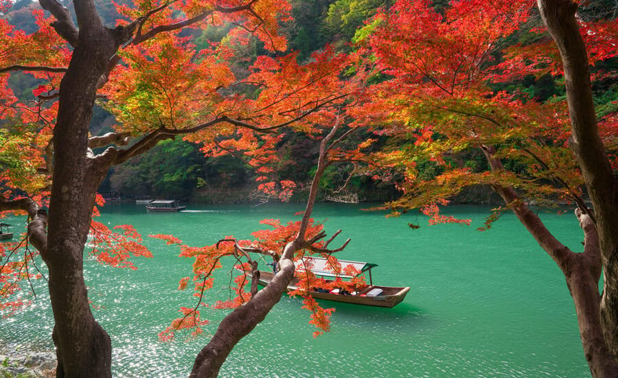 Osaka/Kyoto: Katsuoji, Kinkakuji, Arashiyama 1-Day Bus Tour - What the $56 price really buys