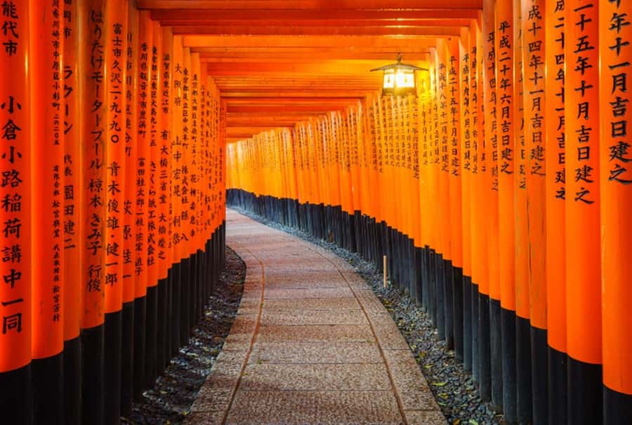 Osaka/Kyoto:Kinkakuji,Arashiyama,FushimiInariShrine,NaraPark - One bus, four major sights