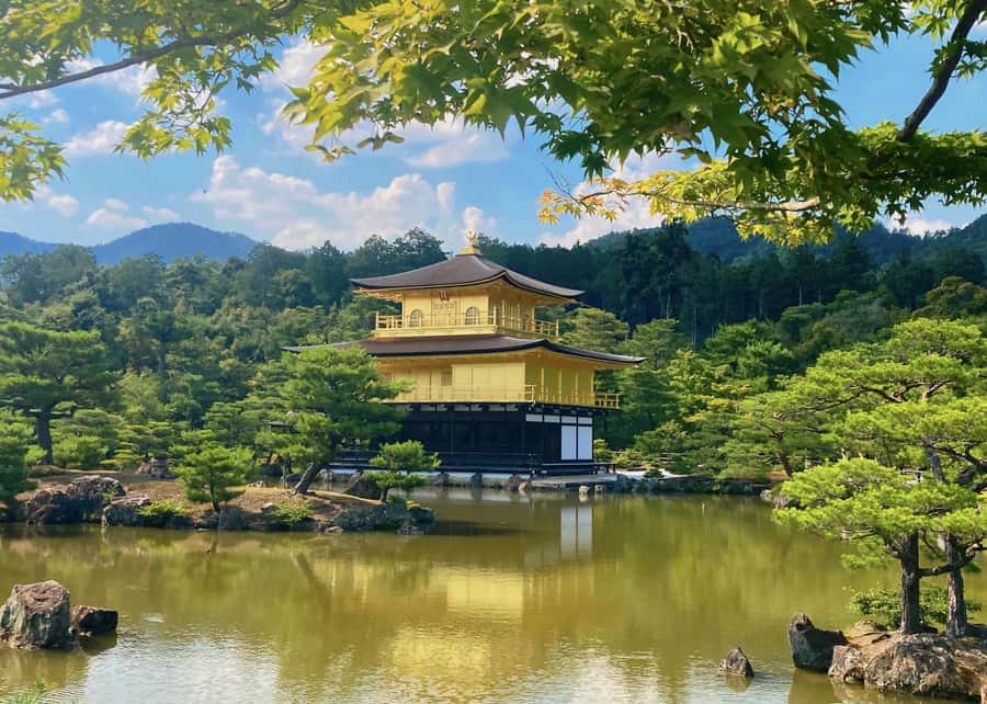 Osaka/Kyoto:Kinkakuji,Arashiyama,FushimiInariShrine,NaraPark - Should you book it?