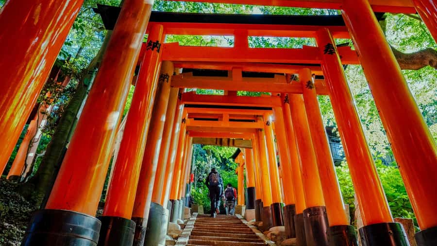 Osaka/Kyoto:Kinkakuji,Arashiyama,FushimiInariShrine,NaraPark - Choosing the Kobe Beef Shabu-Shabu