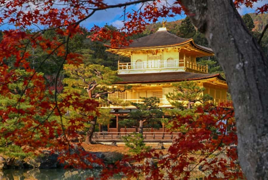 Osaka/Kyoto:Kinkakuji,Arashiyama,FushimiInariShrine,NaraPark - Fushimi Inari and its endless red gates