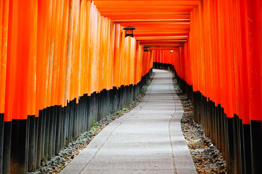 Osaka/Kyoto:Kinkakuji,Arashiyama,FushimiInariShrine,NaraPark - Arashiyama and the famous Bamboo Grove
