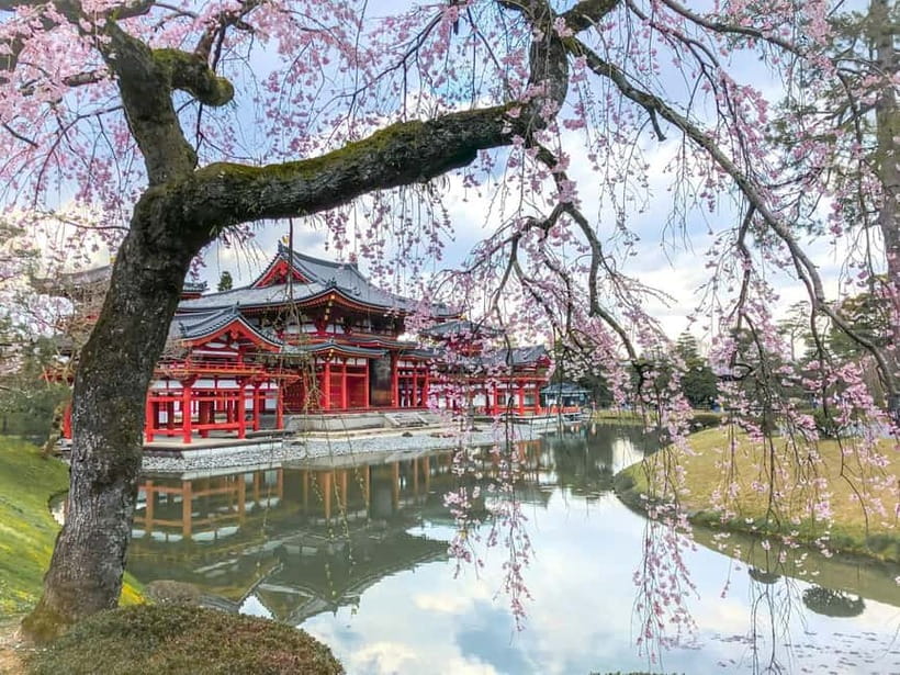 Osaka: Kyoto & Nara & Uji Historical and Scenic One-Day Tour - Todaiji and the giant Vairocana Buddha
