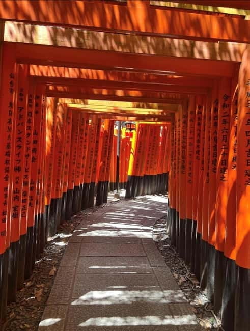 Osaka: Kyoto & Nara & Uji Historical and Scenic One-Day Tour - How the guide affects the day