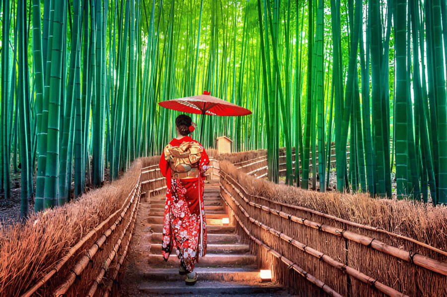 Osaka/Kyoto: Private Kyoto and Nara Day Trip - A Private Kyoto and Nara Day That Saves Time