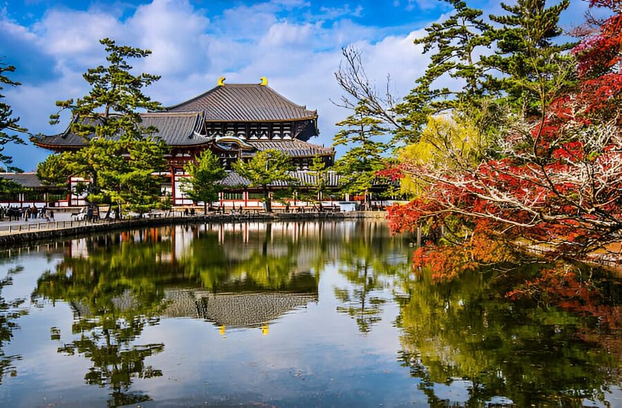Osaka/Kyoto: Private Kyoto and Nara Day Trip - Nara Park: Deer, Crackers, and a Little Caution