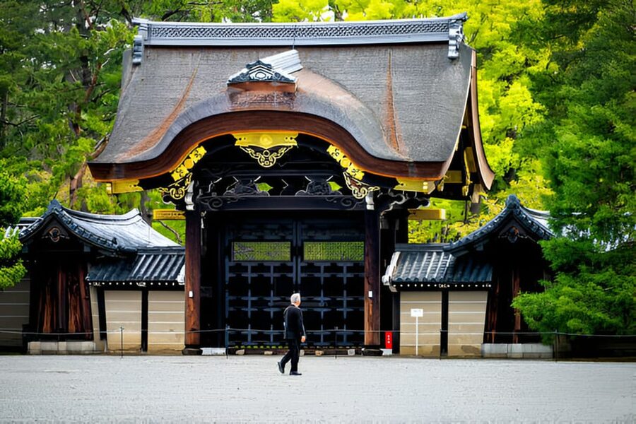 Osaka/Kyoto: Private Kyoto and Nara Day Trip - Choosing Nara Only for a Slower Day