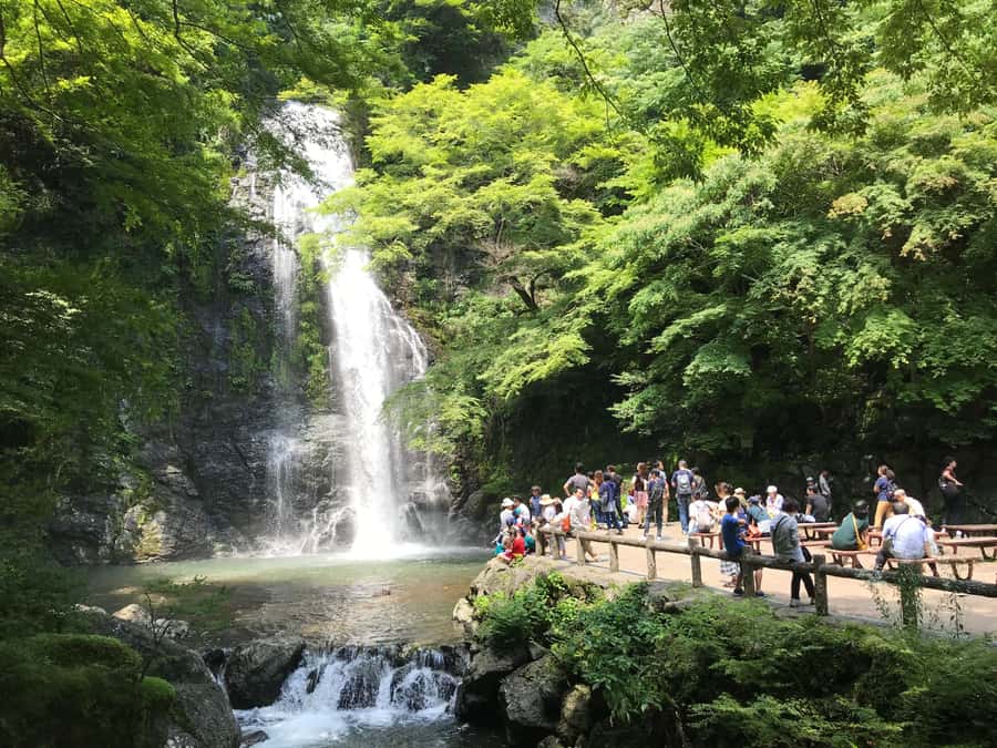 Osaka: Mino Forest Walk and Giant Waterfall with Local Lunch - From JR Osaka Station to Mino in 30 minutes
