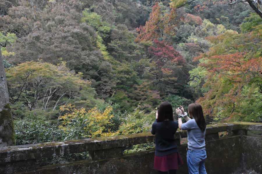 Osaka: Mino Forest Walk and Giant Waterfall with Local Lunch - What the guides add to the day