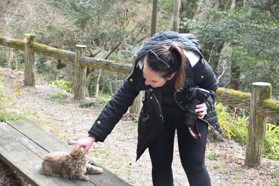Osaka: Mino Forest Walk and Giant Waterfall with Local Lunch - Who will enjoy this Mino outing most