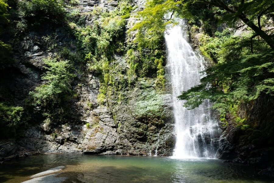 Osaka: Minoh, Katsuoji Temple, & Minoh Falls Full-day Tour - How much walking should you expect?