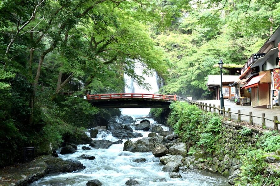 Osaka: Minoh, Katsuoji Temple, & Minoh Falls Full-day Tour - Meeting at Akatsuki Plaza inside Osaka Station