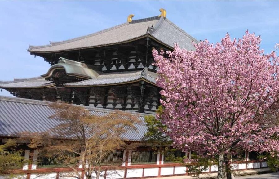Osaka: Nara and Uji Day Trip with Deer Park and Hot Spring - Why this Nara and Uji combination works