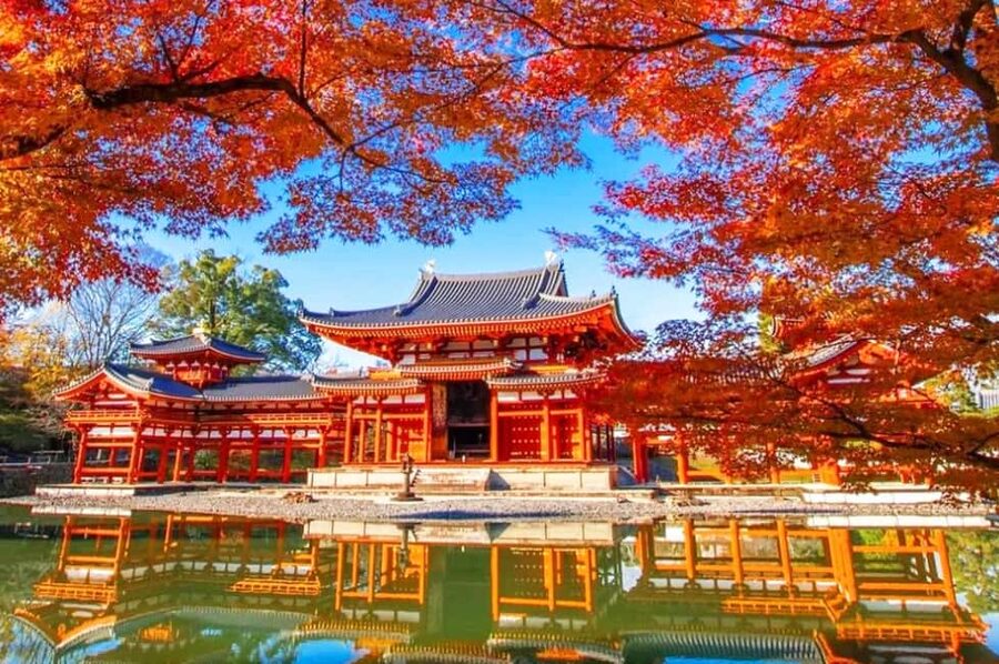 Osaka: Nara and Uji Day Trip with Deer Park and Hot Spring - Feeding the deer in Nara Park
