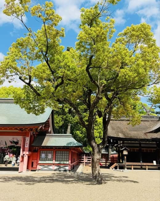 Osaka & Nara: Private Tour with English speaking guide - Osaka Castle: impressive grounds, limited time