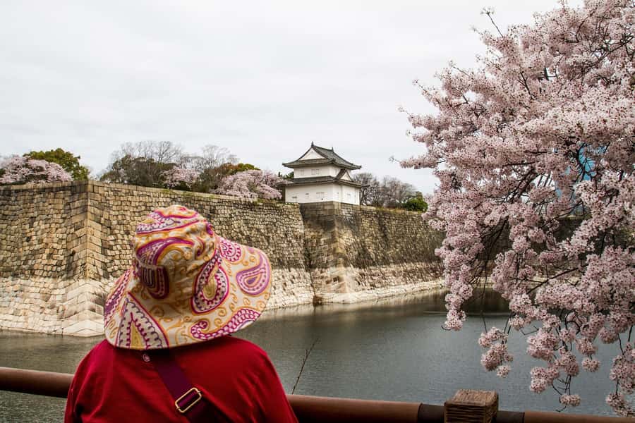 Osaka: Osaka Castle 3 hours Historical Walking Tour - Inside the Osaka Castle Museum