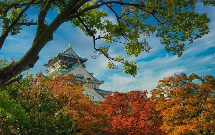 Osaka: Osaka Castle 3 hours Historical Walking Tour - The observation deck and Osaka from above