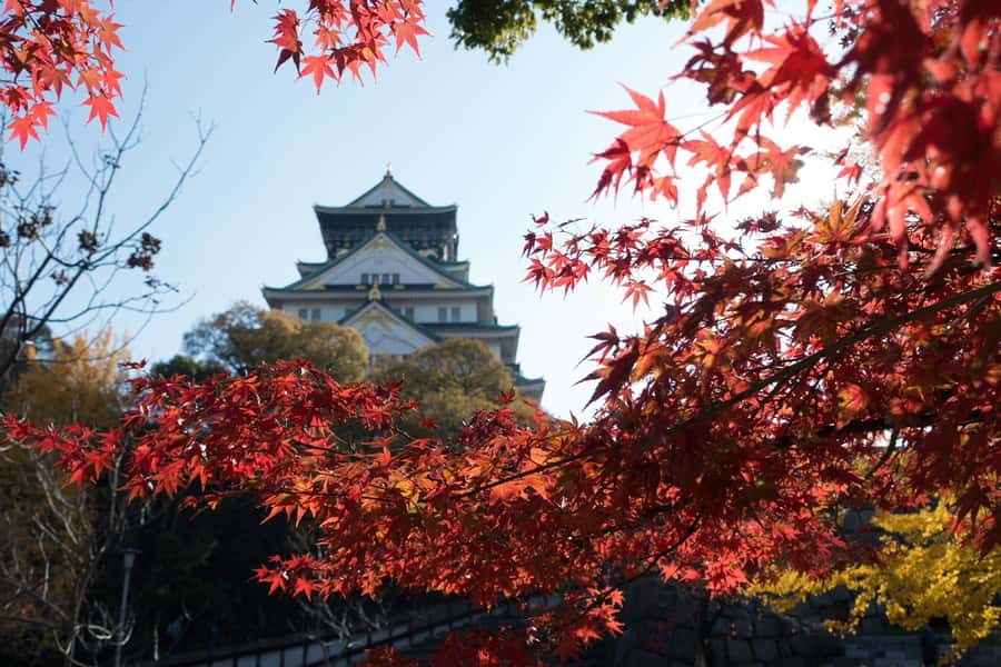 Osaka: Osaka Castle 3 hours Historical Walking Tour - Osaka Castle Park and everyday city life