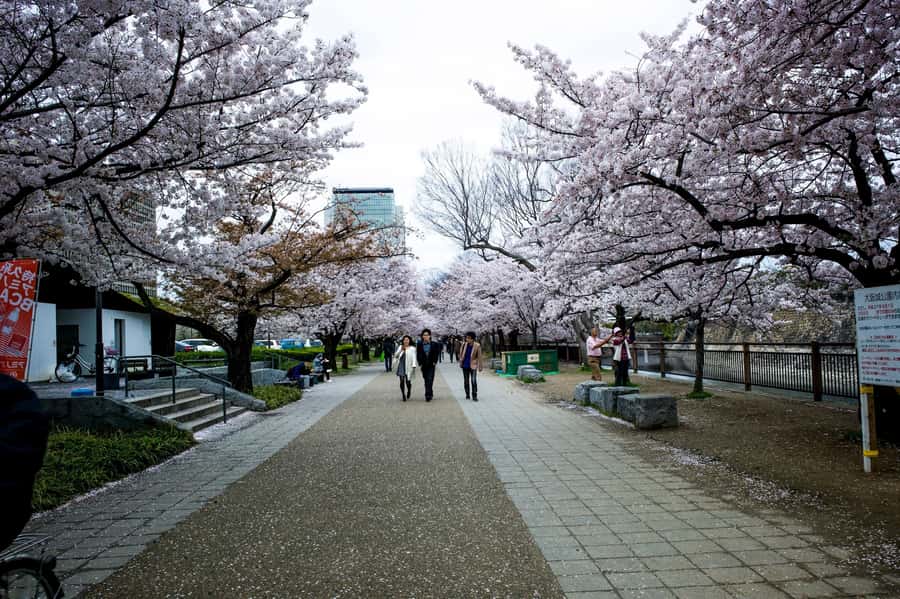 Osaka: Osaka Castle 3 hours Historical Walking Tour - Hokoku Shrine and the final stop