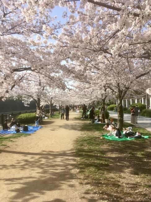 Osaka: Private and Fully Customized Tour with Hotel Meet Up - Osaka Castle: a grand first chapter